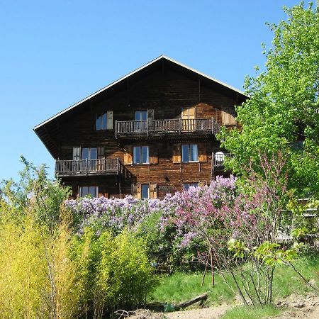 Le Vieux Chalet Bed and Breakfast Embrun Eksteriør billede