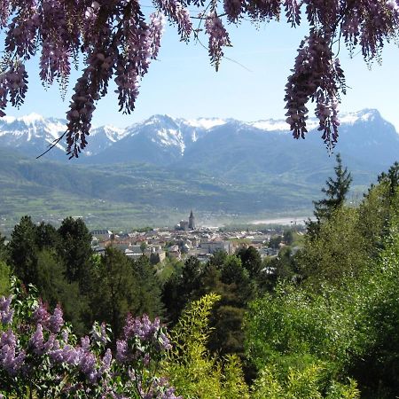 Le Vieux Chalet Bed and Breakfast Embrun Eksteriør billede